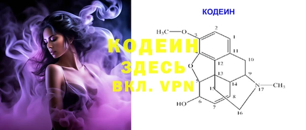 прущий лед Костерёво